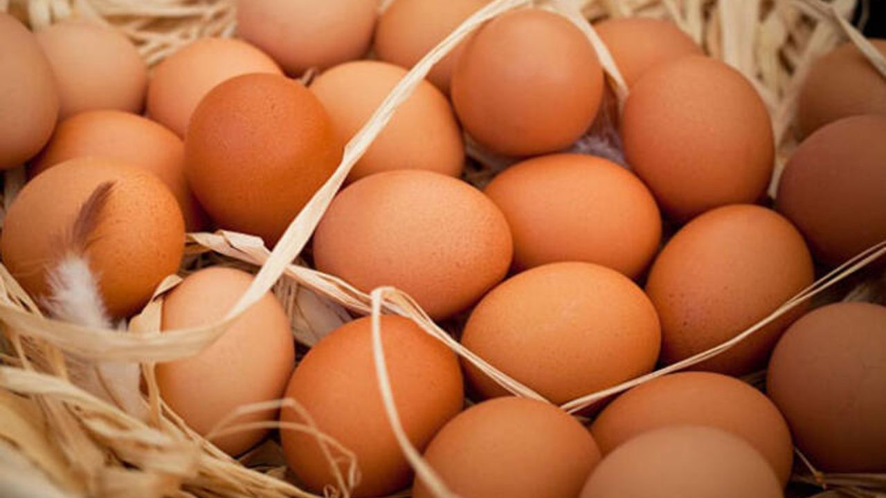 Yumurta alırken dikkat: Damga uyanıklığı