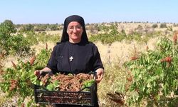 14 dil biliyor, 22 kitap yazdı: Süryani rahibe Midyat'a geri döndü