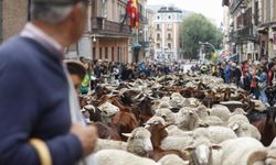 Madrid sokaklarından binlerce koyun geçti